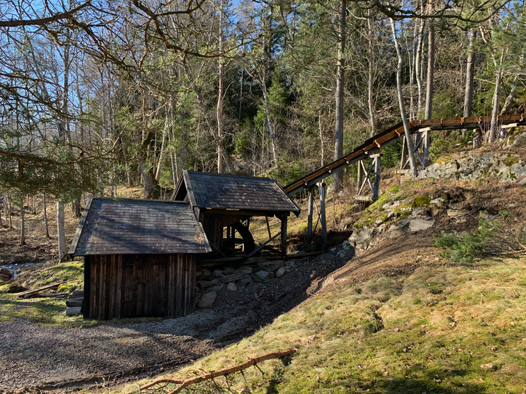 IMG 0297